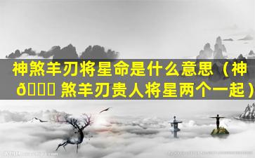 神煞羊刃将星命是什么意思（神 🐕 煞羊刃贵人将星两个一起）